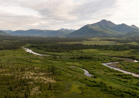 Aerial view of a braided river valley below green mountains