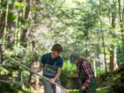 Two volunteers sampling a forested stream with a net